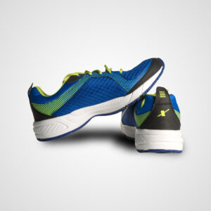 Home2 sports shoe1